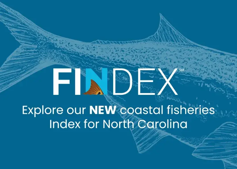 FINDEX